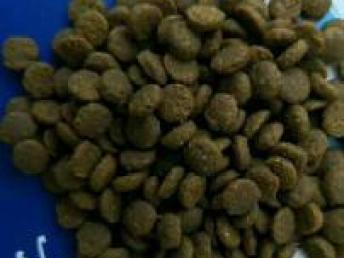 臨沂寵物食品公司品牌直銷與專業(yè)代加工服務解析——兼論西安寵物食品用品銷售市場