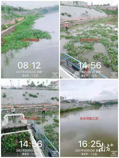 茂南水務(wù)局多措并舉，筑牢水污染防治監(jiān)管防線