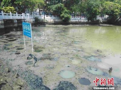 力度升級(jí)！生態(tài)環(huán)境部出“狠招”治理水污染